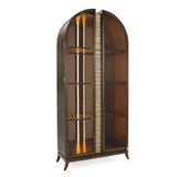 DISPLAY CABINET
